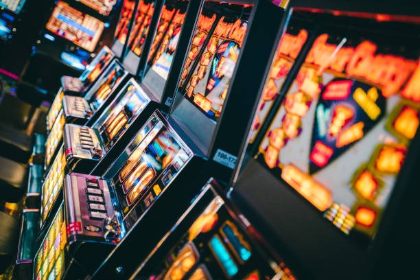capung togel platform interface showing sportsbook, live dealer, and slot games