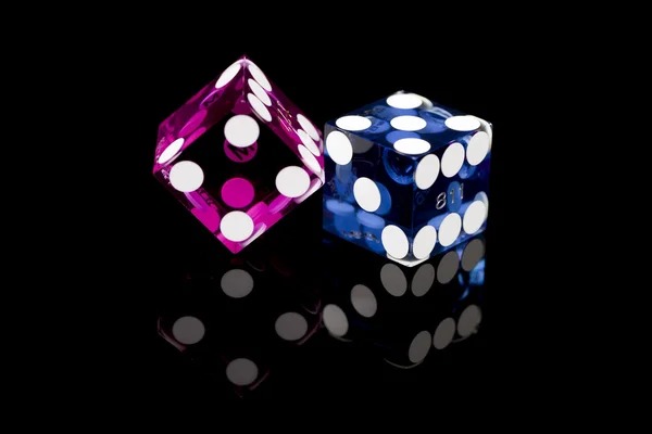 MotoGP race event coverage on capung togel sportsbook platform